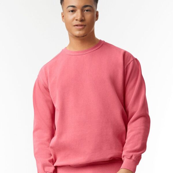 Garment-Dyed Sweatshirt Thumbnail