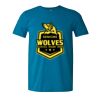 Softstyle® T-Shirt Thumbnail