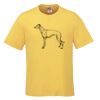 Men's Crew Neck Tee Thumbnail