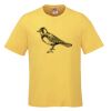 Men's Crew Neck Tee Thumbnail